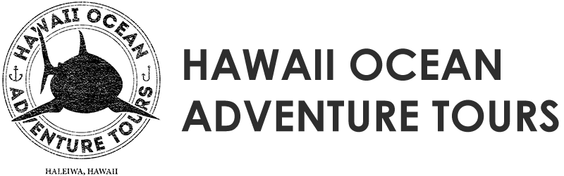 hawaii ocean adventure tours