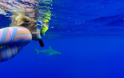 Ultimate Adventure Awaits on Oahu’s North Shore with Hawaiian Ocean Adventure Tours In 2024